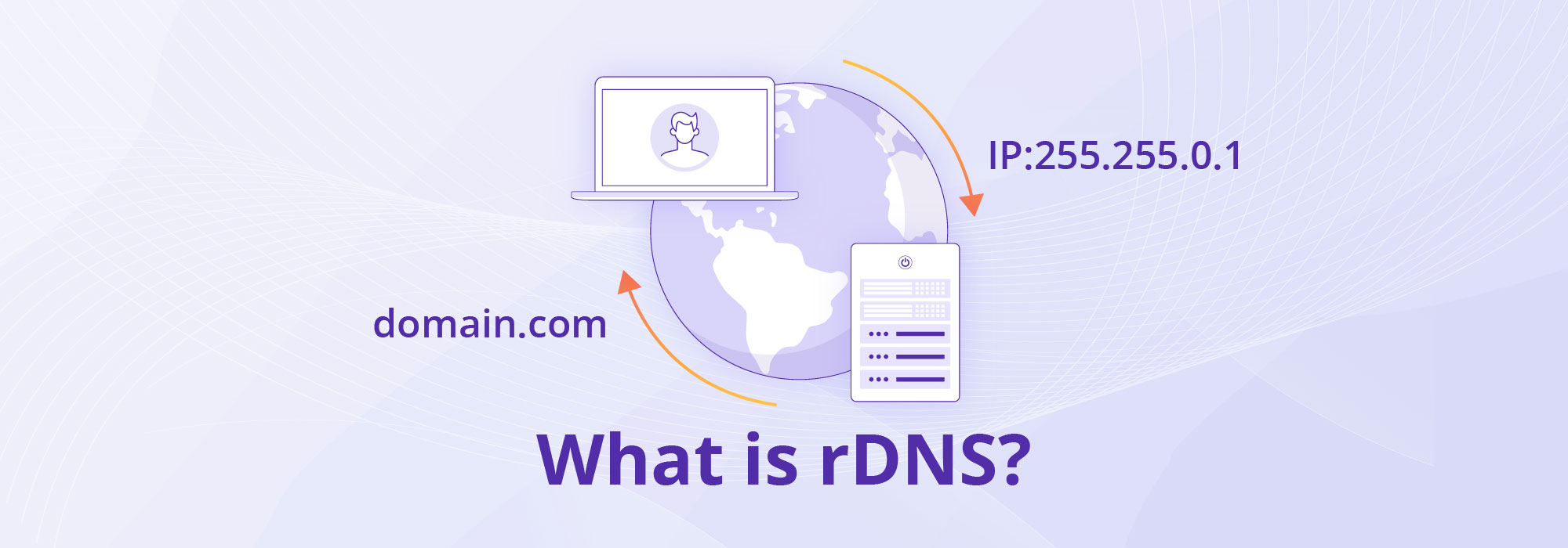 What-is-rDNS