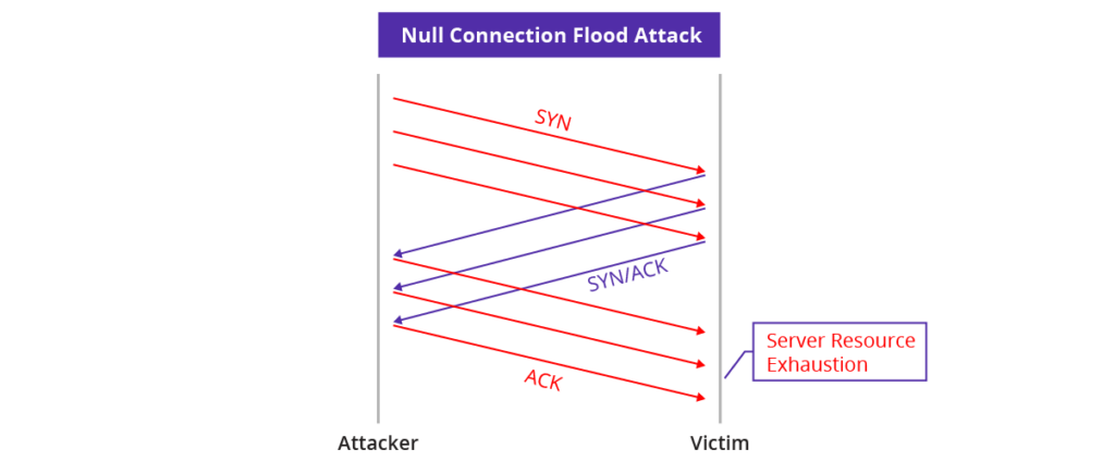 Null-Connection-Flood-Attack_01-1024x425.png