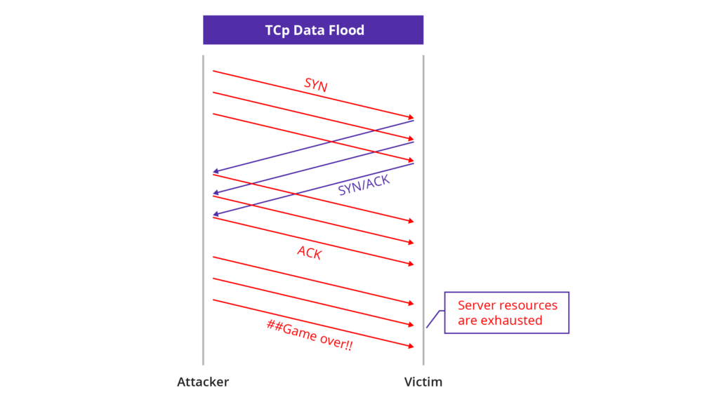TCP-Data-Flood-1024x573.png