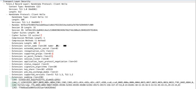 Client-Hello-Message