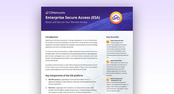 Enterprise-Secure-Access-Datasheet-Thumb.jpg