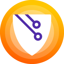 Application Shield Icon